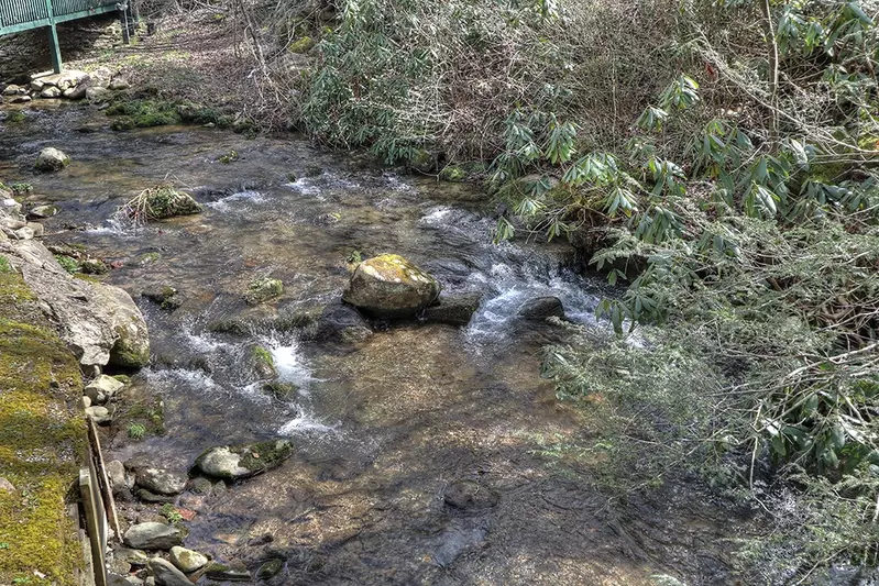 Briar Creek
