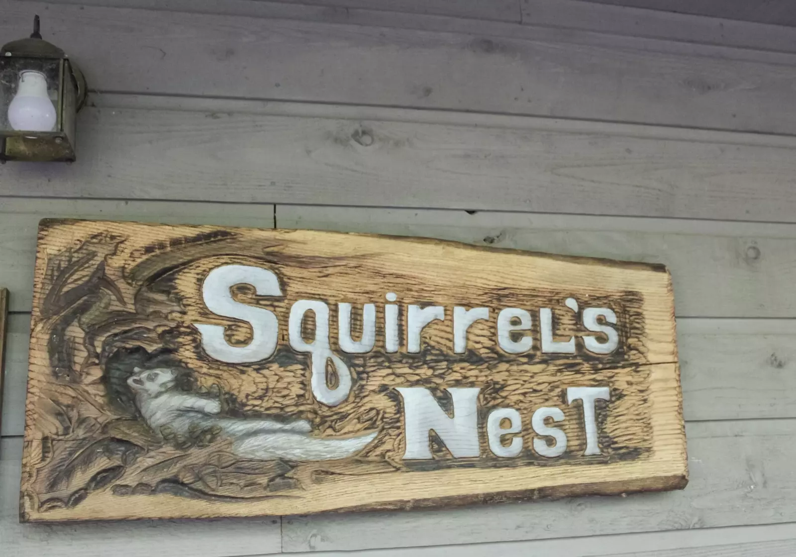 Squirrel's Nest