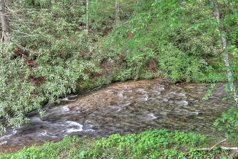 Wilderness Creek