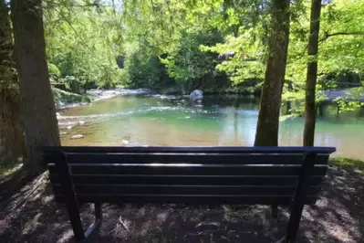 bench by river