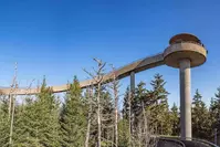 kuwohi is a must during spring break in the Smokies