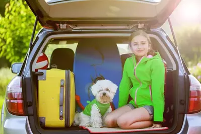 Girl and white dog in the back of a car packed for vacation