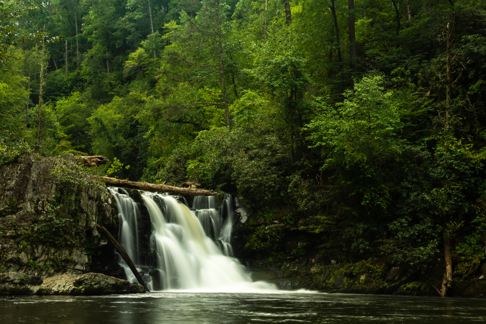 Abrams Falls in Cades Cove