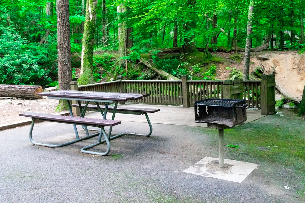 picnic table and charcoal grill at Cades Cove Picnic Area