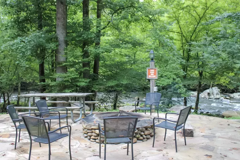 Riverside cabin fire pit and picnic table next to the river