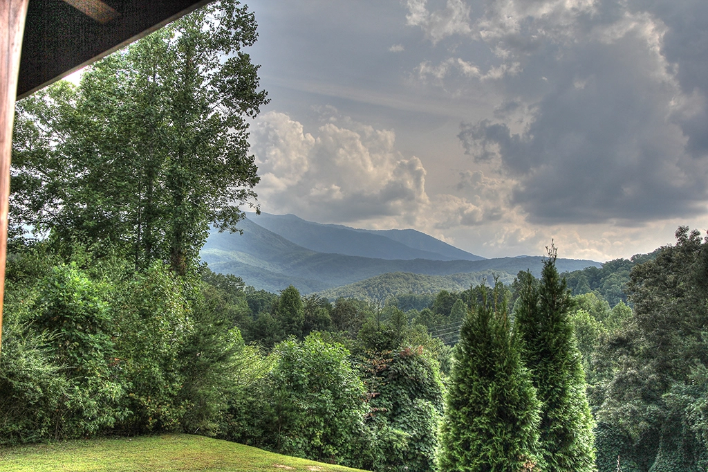 Leconte View