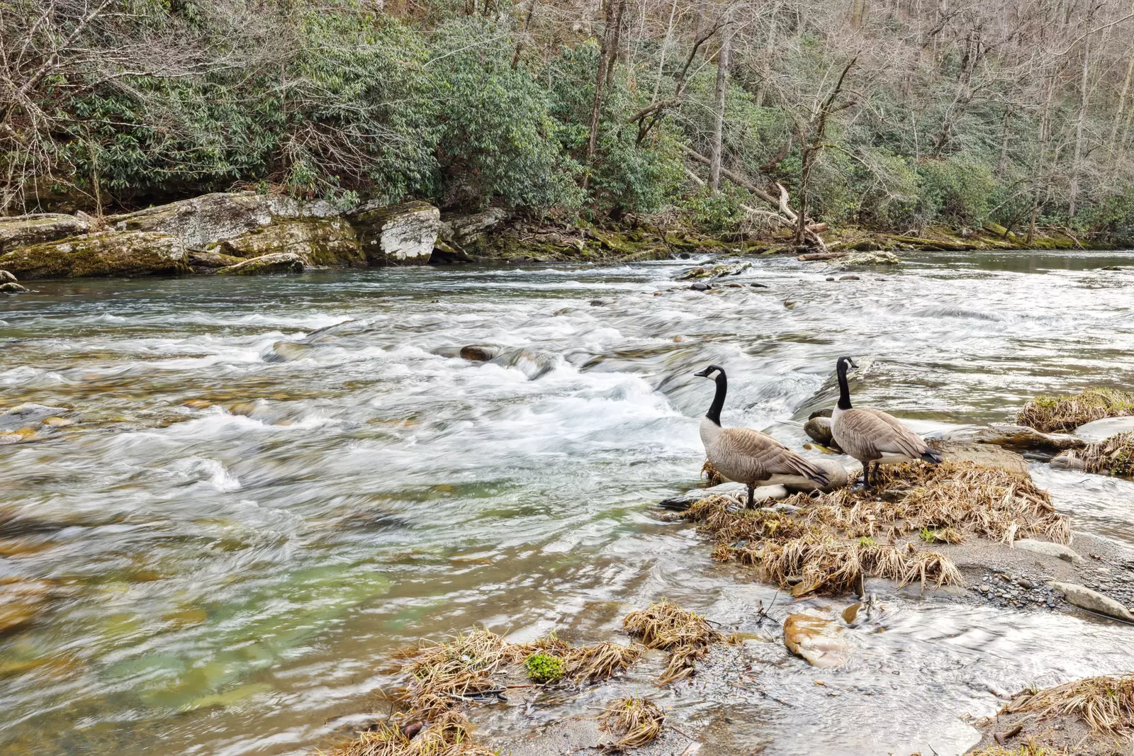 Ogle Lodge on the River