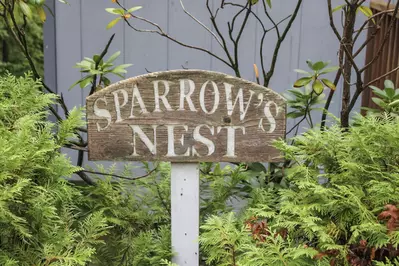 Sparrow's Nest