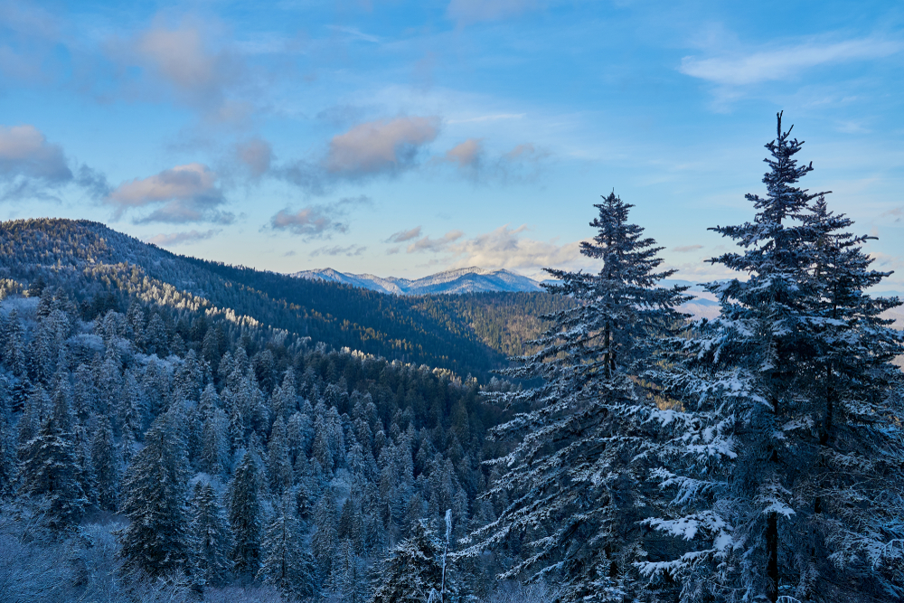 snow-covered mountains