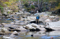 man fly fishing in a Smoky Mountain stream