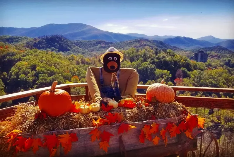 fall decor in front of mountain landscape at Anakeesta