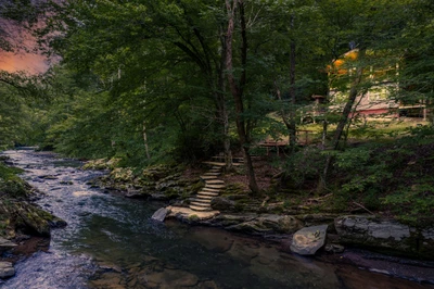 Little Pigeon River House